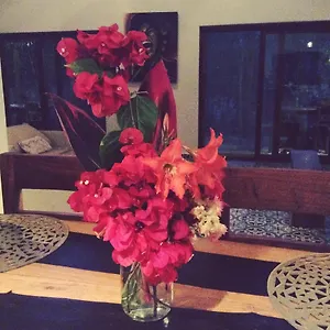 Escarabajo Rojo Bed & Breakfast Tulum