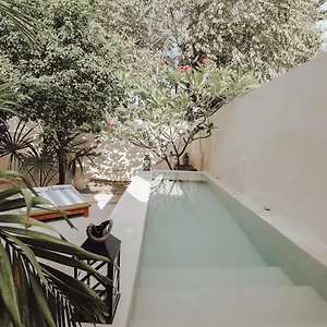 Boutique Kaa Bed and breakfast Mérida