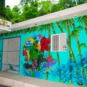 Bamboo Bacalar